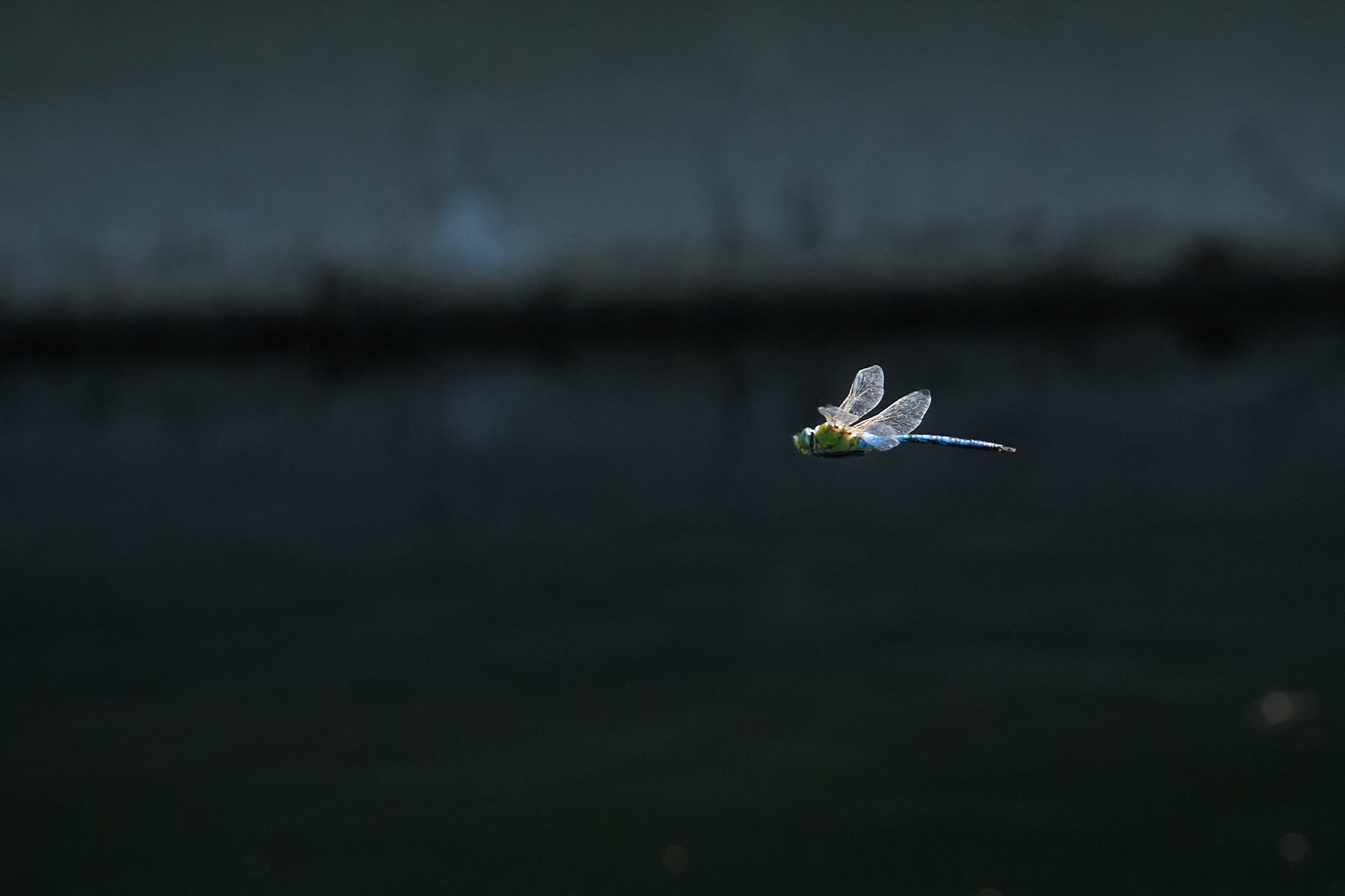 Landschaftspark Nord 0392